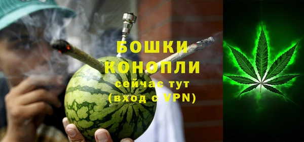PSILOCYBIN Белокуриха