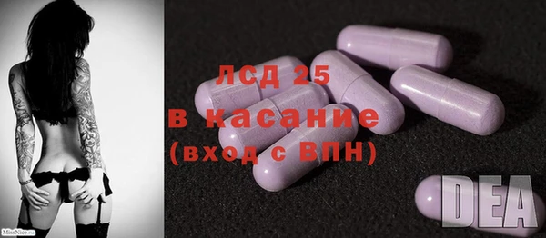 PSILOCYBIN Белокуриха