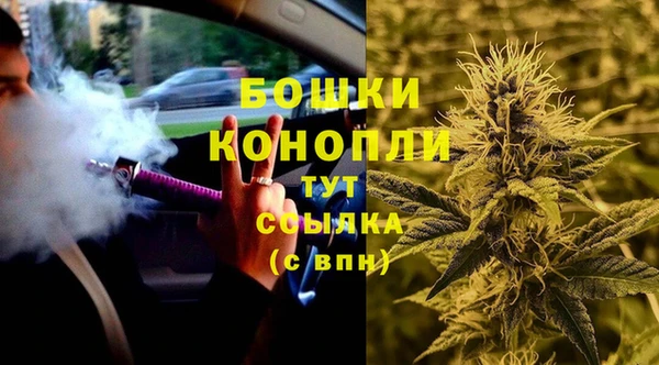 дживик Белоозёрский