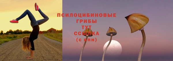 дживик Балабаново