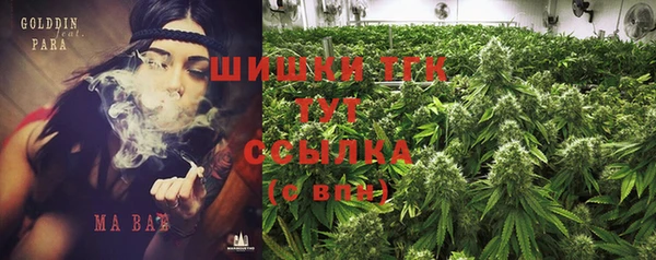 PSILOCYBIN Белокуриха