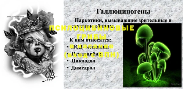 PSILOCYBIN Белокуриха