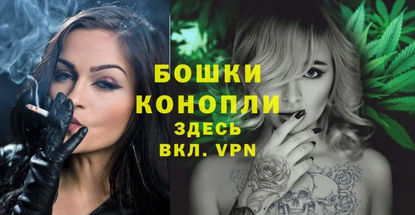 дживик Белоозёрский