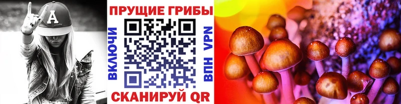 Купить закладки  Опочка  Псилоцибиновые грибы Psilocybine cubensis 