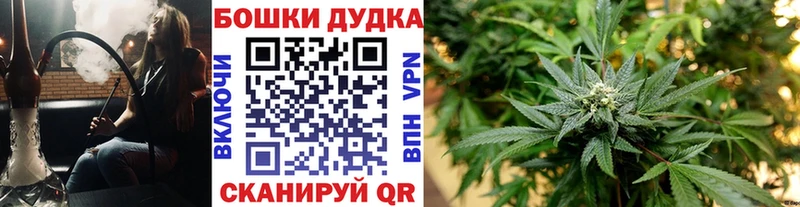 Канабис AK-47  Купить где  Опочка 